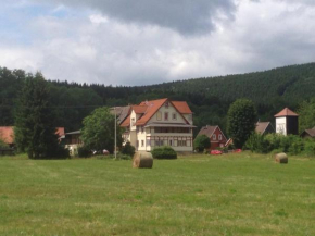 Herrlicher Harz Suites, Elend